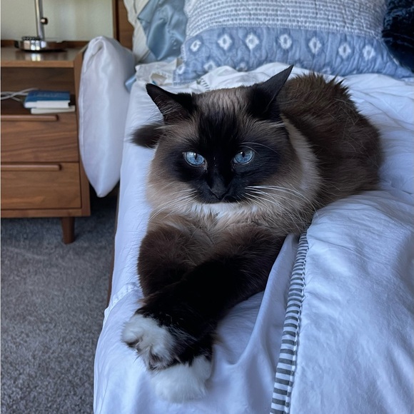 Meet your Posher, Jill - Picture 16 of 16